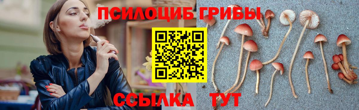 Галлюциногенные грибы MAGIC MUSHROOMS  Вход с VPN  Жуковский 